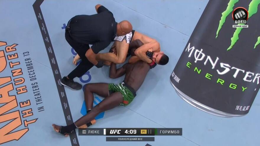 UFC 310: Висенте Луке шокировал зрителей досрочной победой над Горимбо