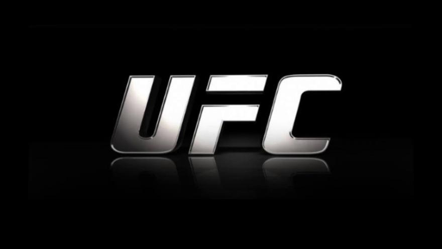 UFC. Представлен полный кард турнира
