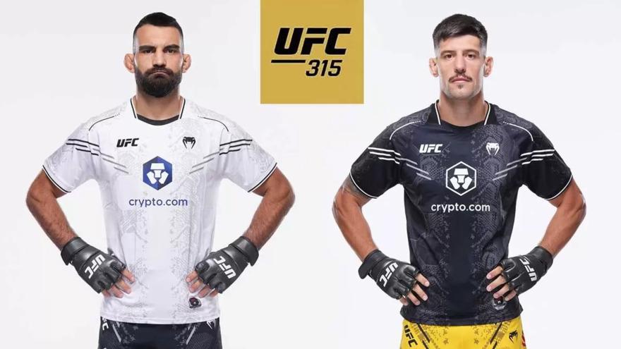 Бенуа Сен-Дени и Йоэль Альварес встретятся на UFC 315