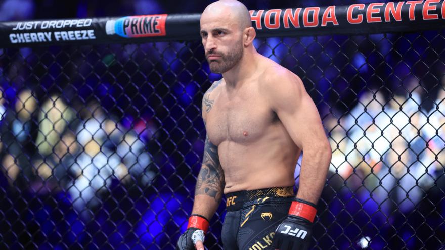 Волкановски назвал победителя в бое Анкалаве — Перейра на UFC 313