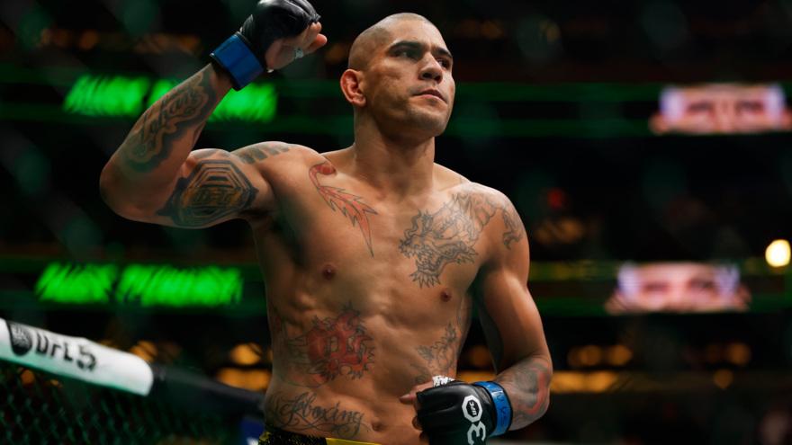 Хорошие деньги. Стали известны призовые Перейры и Анкалаева за бой на UFC 313