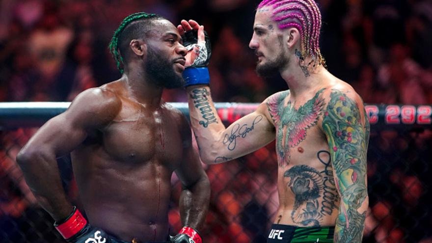 Стерлинг UFC 316-да О'Мэлли мен Двалишвилидің реваншына таң қалмады