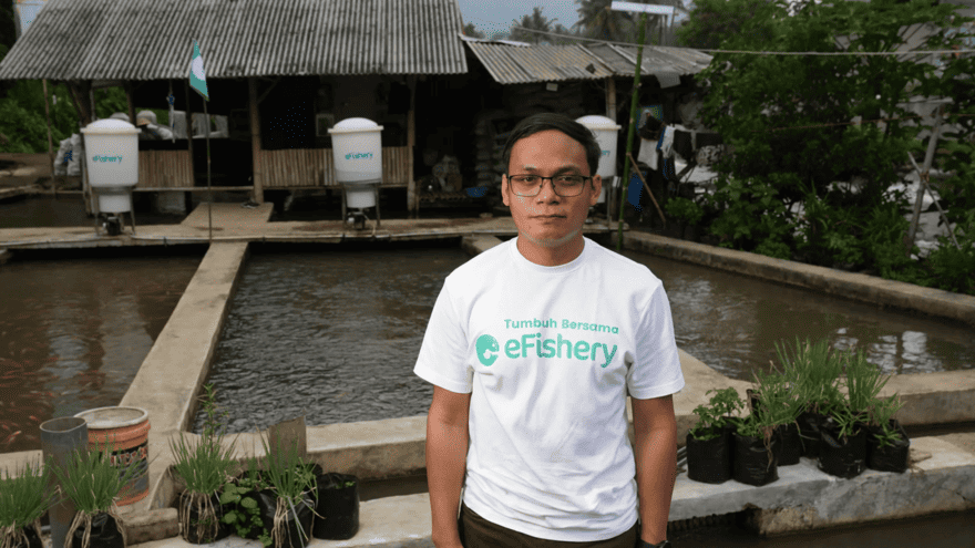 Стартап eFishery рухнул из-за обмана инвесторов и подделки отчетов