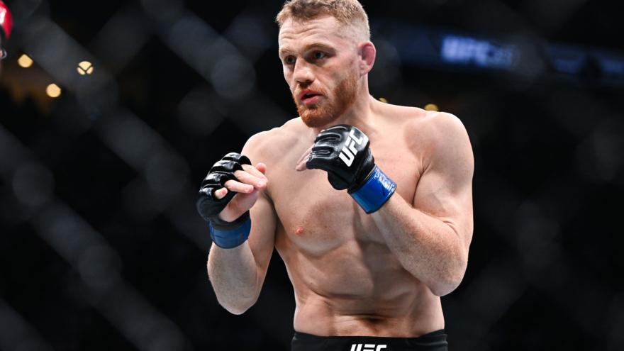 Маддалена о гонорарах в UFC: Не нравится контракт – не подписывай