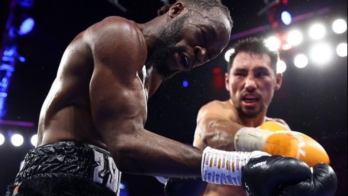 Темная лошадка или старый знакомый? WBO выбрала претендента на пояс Жанибека