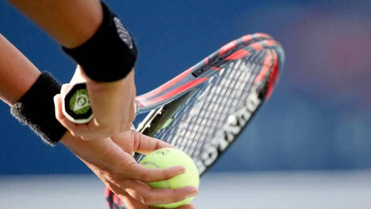 Полуфинальные пары US Open-2025 в мужском одиночном разряде