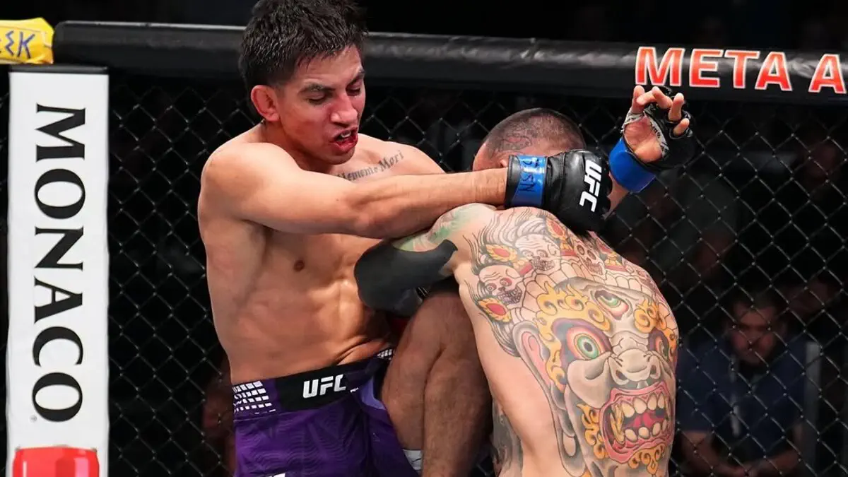 Как прошел UFC Vegas 114: нокаут в главном бою и полный список победителей