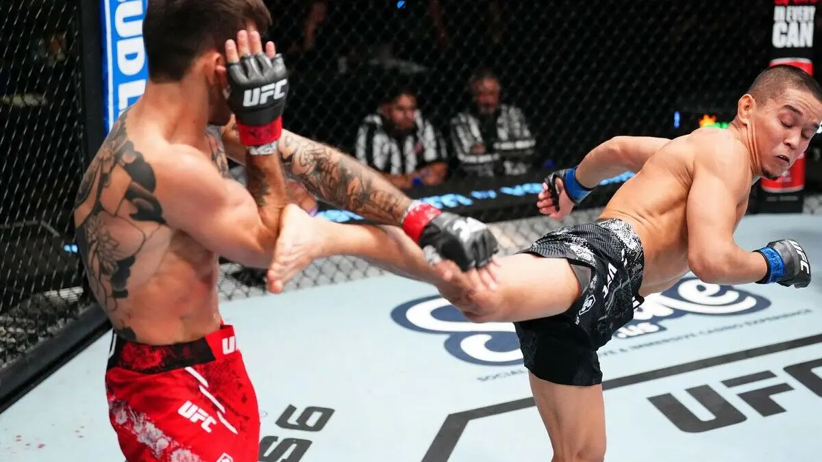От Алмахана до Топурии: топ-5 жарких боев UFC лета-2026