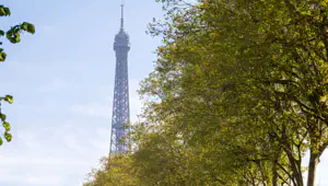 Французский регулятор предупреждает о росте интереса к ставкам на ЧМ