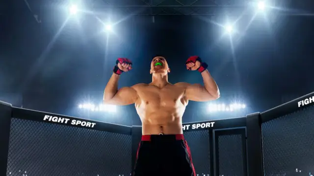 UFC салмақ дәрежелері: тарихы, қазіргі чемпиондары, аңызға айналған жауынгерлері