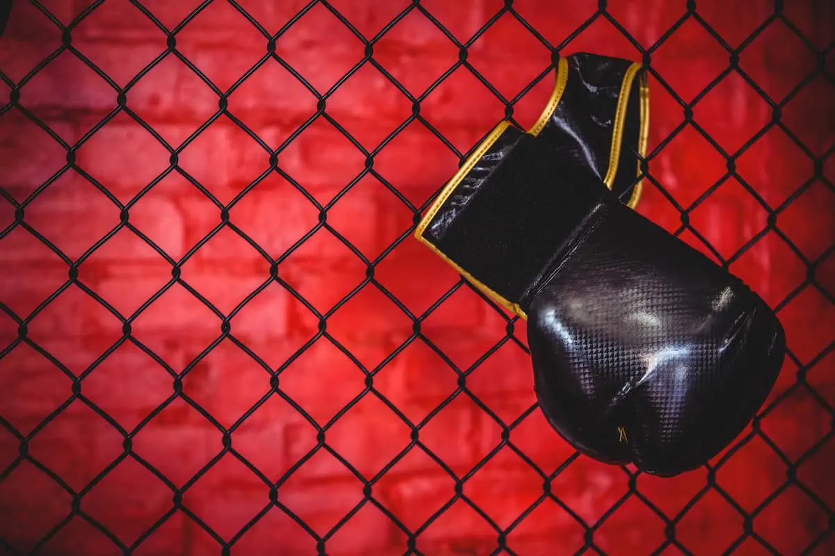Весовые категории женщин в ufc