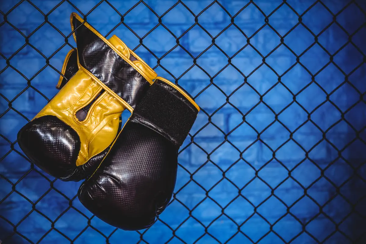 UFC салмақ дәрежелері мен рейтингтері